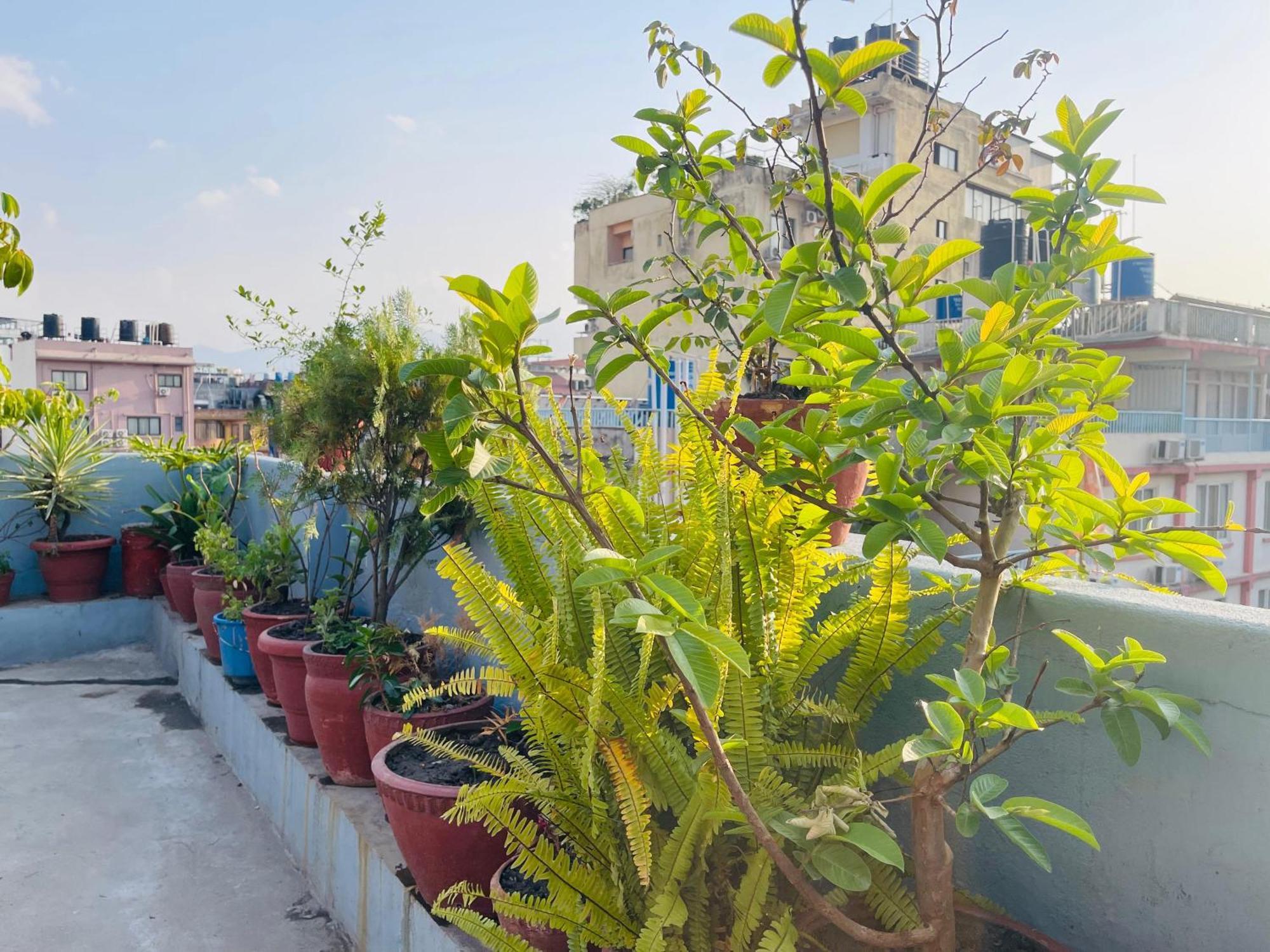 Holy Land Hotel Nepal Катманду Экстерьер фото