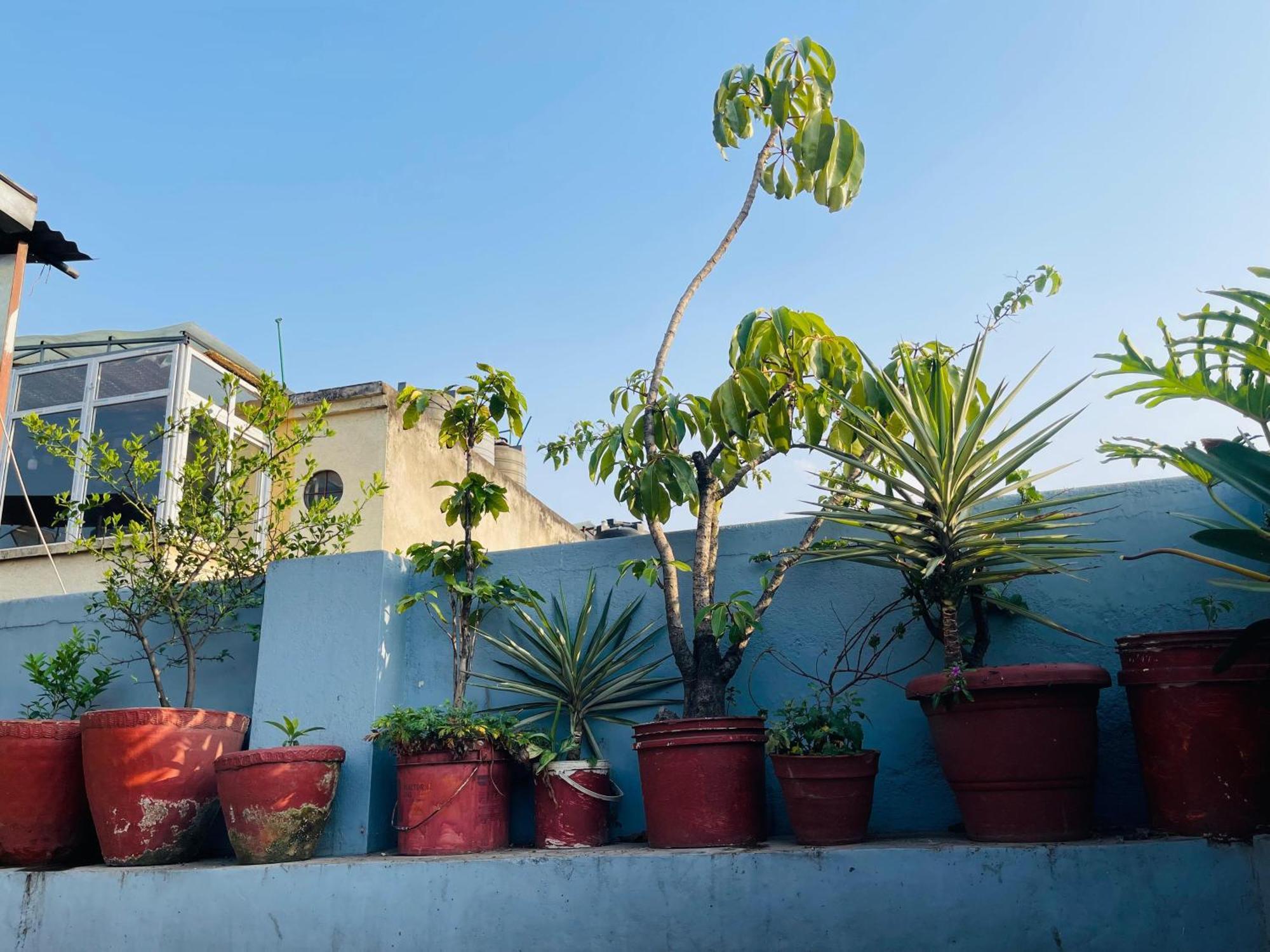 Holy Land Hotel Nepal Катманду Экстерьер фото