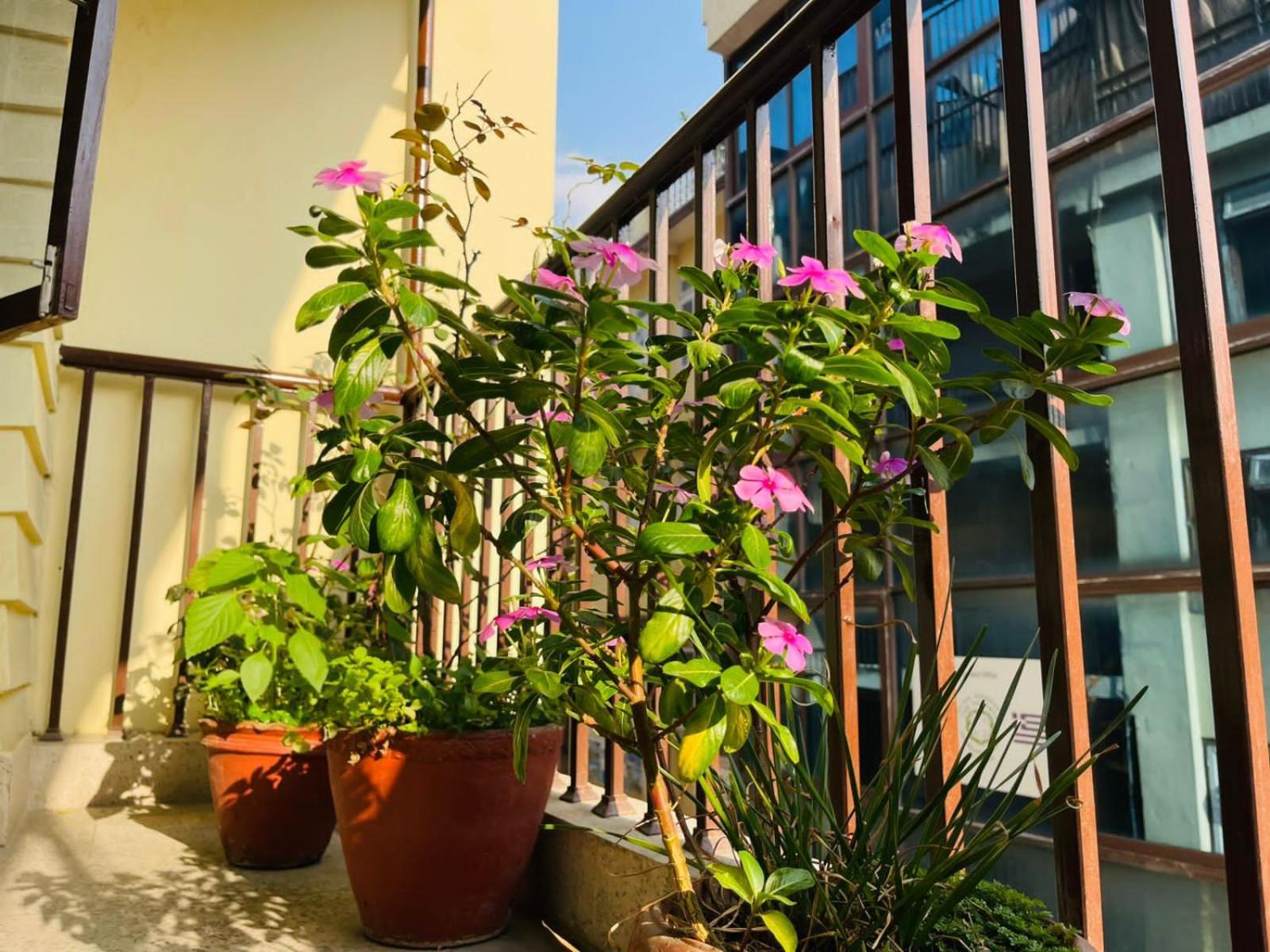 Holy Land Hotel Nepal Катманду Экстерьер фото
